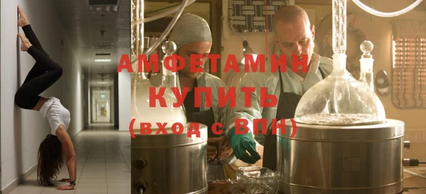 шишки Бородино