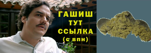 шишки Бородино