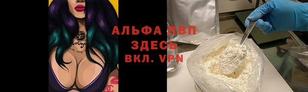 шишки Бородино