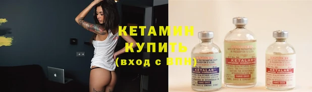 шишки Бородино