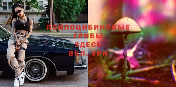 альфа пвп Бугульма
