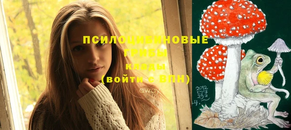 альфа пвп Бугульма