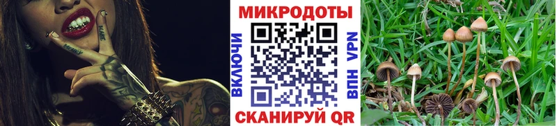 Псилоцибиновые грибы Cubensis  Юхнов 